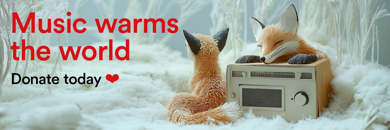 Desktop web banner for End of Year Giving 2024, featuring two foxes sleeping on a radio in the snow